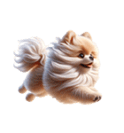 3D Art Dog Friends Pomeranian simple（個別スタンプ：25）