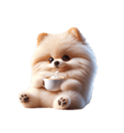 3D Art Dog Friends Pomeranian simple（個別スタンプ：29）