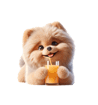 3D Art Dog Friends Pomeranian simple（個別スタンプ：30）