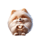 3D Art Dog Friends Pomeranian simple（個別スタンプ：33）