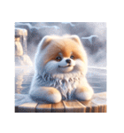 3D Art Dog Friends Pomeranian simple（個別スタンプ：36）