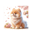 3D Art Dog Friends Pomeranian simple（個別スタンプ：37）