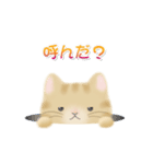 ねこのニャトラン（個別スタンプ：5）