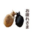 バロンとジジとオトは仲良し（個別スタンプ：4）