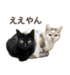 バロンとジジとオトは仲良し（個別スタンプ：10）