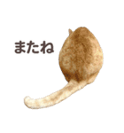 バロンとジジとオトは仲良し（個別スタンプ：19）