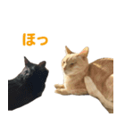 バロンとジジとオトは仲良し（個別スタンプ：21）