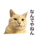 バロンとジジとオトは仲良し（個別スタンプ：24）