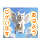 聖なる猫天使に祝福を✨（個別スタンプ：1）