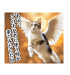 聖なる猫天使に祝福を✨（個別スタンプ：13）