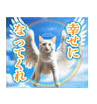 聖なる猫天使に祝福を✨（個別スタンプ：33）