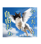 聖なる猫天使に祝福を✨（個別スタンプ：34）