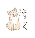 飛び出せ！たくさんの犬たち（個別スタンプ：1）