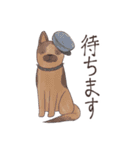 飛び出せ！たくさんの犬たち（個別スタンプ：14）