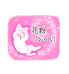 桜花猫（個別スタンプ：18）