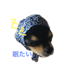 こてつすたんぷ‼︎（個別スタンプ：1）