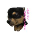 こてつすたんぷ‼︎（個別スタンプ：4）
