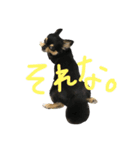 こてつすたんぷ‼︎（個別スタンプ：6）