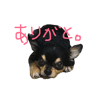 こてつすたんぷ‼︎（個別スタンプ：8）