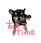 こてつすたんぷ‼︎（個別スタンプ：10）
