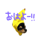 こてつすたんぷ‼︎（個別スタンプ：13）