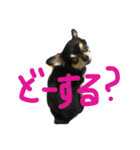 こてつすたんぷ‼︎（個別スタンプ：15）