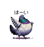 ずんぐりむっくりなハト ドット絵 日常（個別スタンプ：8）