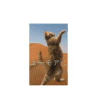 ⚫猫ミーム【踊る】【ダンス】【多い猫】（個別スタンプ：9）