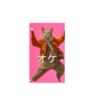 ⚫猫ミーム【踊る】【ダンス】【多い猫】（個別スタンプ：19）