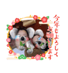 friendINfamily01（個別スタンプ：37）