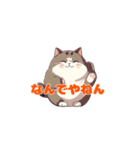 足上げ猫＜なんでやねん＞（個別スタンプ：15）