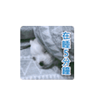 面白いマルタの顔文字（個別スタンプ：10）
