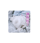 面白いマルタの顔文字（個別スタンプ：11）