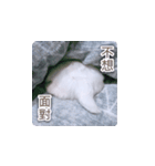 面白いマルタの顔文字（個別スタンプ：12）