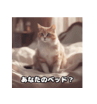 キュートな猫の甘えんぼスタンプ（個別スタンプ：14）