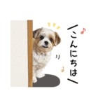 バロさんスタンプ（個別スタンプ：2）