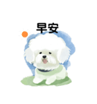 Bichon Frize Smile (台湾ver)（個別スタンプ：1）