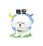 Bichon Frize Smile (台湾ver)（個別スタンプ：2）