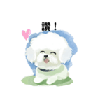 Bichon Frize Smile (台湾ver)（個別スタンプ：4）