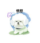 Bichon Frize Smile (台湾ver)（個別スタンプ：5）