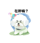 Bichon Frize Smile (台湾ver)（個別スタンプ：6）