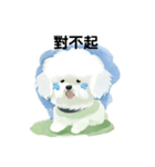 Bichon Frize Smile (台湾ver)（個別スタンプ：9）