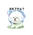 Bichon Frize Smile (台湾ver)（個別スタンプ：10）