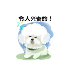 Bichon Frize Smile (台湾ver)（個別スタンプ：13）