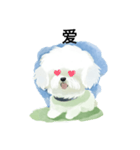 Bichon Frize Smile (台湾ver)（個別スタンプ：14）