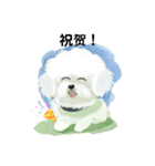 Bichon Frize Smile (台湾ver)（個別スタンプ：16）