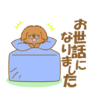 わんこ日和(茶ペキニーズ)-toYvu-（個別スタンプ：27）