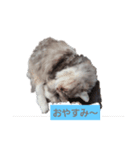 みいちゃんねる（個別スタンプ：6）