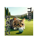 ゴルフ大好き猫の日常会話（個別スタンプ：18）