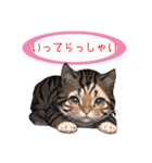 日常あいさつ ブラウンタビー（個別スタンプ：19）